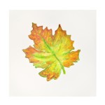 Otto JELÍNEK - “Maple Leaf Forever“